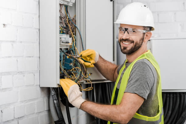 Best Home Electrical Repair  in Johnston City, IL