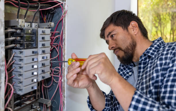 Best Local Electrician Companies  in Johnston City, IL